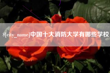 兰考中国十大消防大学有哪些学校