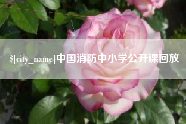 兰考中国消防中小学公开课回放