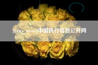 兰考中国执行信息公开网