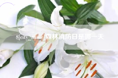兰考森林消防日是哪一天