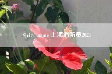 兰考上海消防员2021