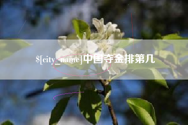兰考中国夺金排第几