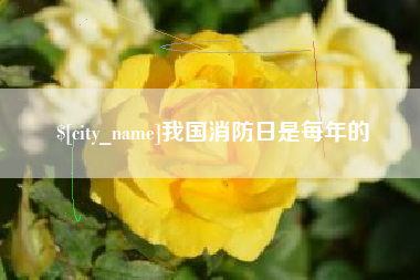 兰考我国消防日是每年的