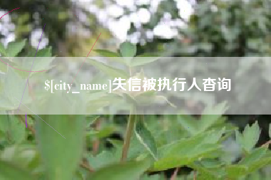 兰考失信被执行人杳询