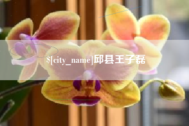 兰考邱县王子磊