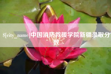 兰考中国消防救援学院新疆录取分数