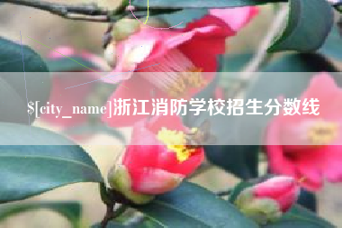 兰考浙江消防学校招生分数线
