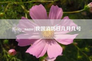 兰考我国消防日几月几号