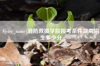 兰考消防救援学院报考条件湖南招生多少分
