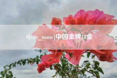 兰考中国金牌18金