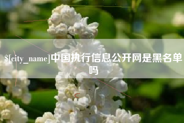 兰考中国执行信息公开网是黑名单吗