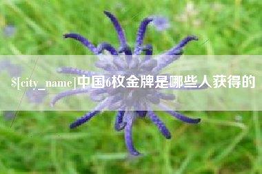 兰考中国6枚金牌是哪些人获得的