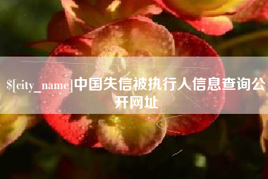 兰考中国失信被执行人信息查询公开网址