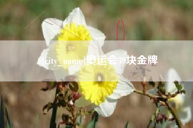 兰考奥运会39块金牌