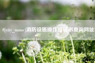 兰考消防设施操作员证书查询网址