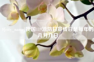 兰考我国119消防日宣传日是每年的几月几日