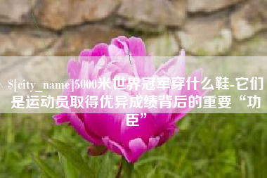 兰考5000米世界冠军穿什么鞋-它们是运动员取得优异成绩背后的重要“功臣”