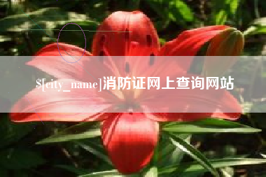 兰考消防证网上查询网站