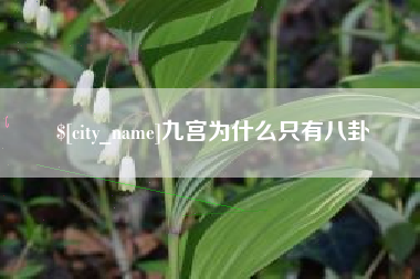 兰考九宫为什么只有八卦