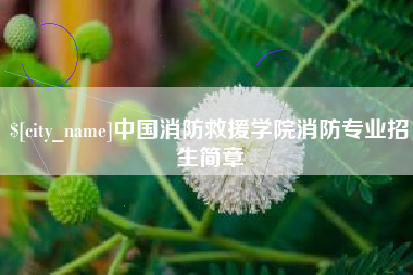 兰考中国消防救援学院消防专业招生简章