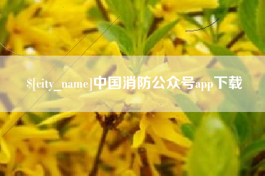 兰考中国消防公众号app下载