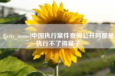 兰考中国执行案件查询公开网都是执行不了得案子 兰考中国执行案件查询公开网都是执行不了得案子