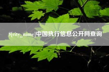 兰考中国执行信息公开网查询