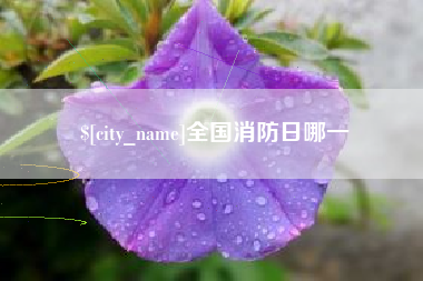 兰考全国消防日哪一