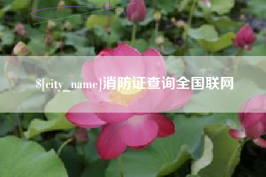 兰考消防证查询全国联网