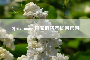 兰考国家消防考试网官网