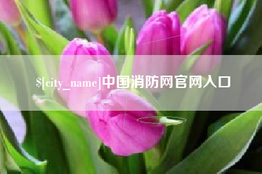 兰考中国消防网官网入口