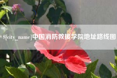 兰考中国消防救援学院地址路线图