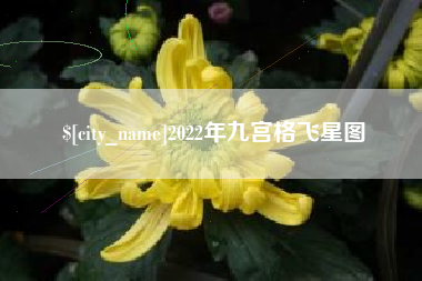 兰考2022年九宫格飞星图