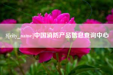 兰考中国消防产品信息查询中心