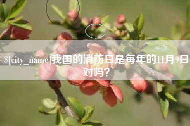 兰考我国的消防日是每年的11月9日对吗？