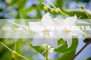 兰考中国消防救援学院湖南招生情况公布