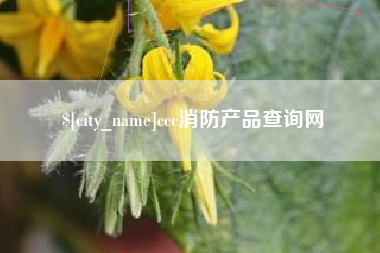 兰考ccc消防产品查询网