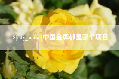 兰考中国金牌都是哪个项目