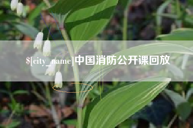兰考中国消防公开课回放