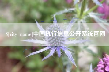 兰考中国执行信息公开系统官网