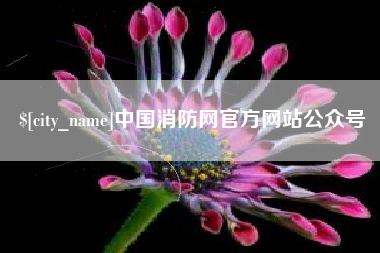 兰考中国消防网官方网站公众号