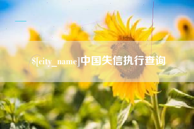 兰考中国失信执行查询