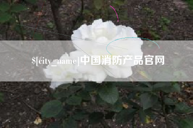 兰考中国消防产品官网