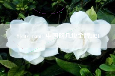 兰考中国的几块金牌2021