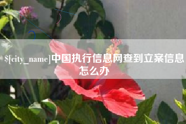兰考中国执行信息网查到立案信息怎么办