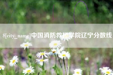 兰考中国消防救援学院辽宁分数线