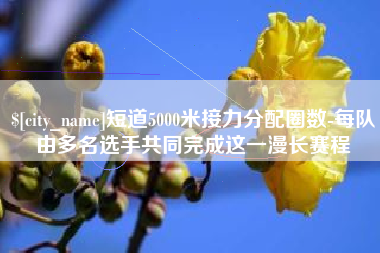 兰考短道5000米接力分配圈数-每队由多名选手共同完成这一漫长赛程