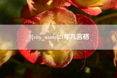 兰考21年九宫格