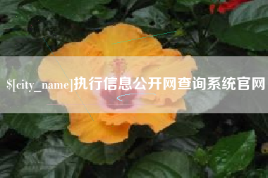 兰考执行信息公开网查询系统官网