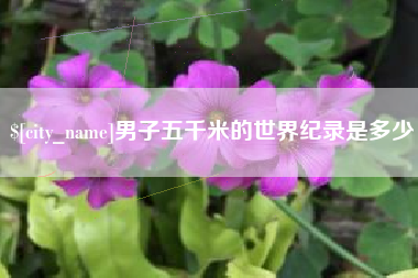 兰考男子五千米的世界纪录是多少